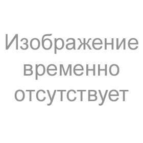 Губка морская, натуральная, для создания декоративных эффектов (средняя).